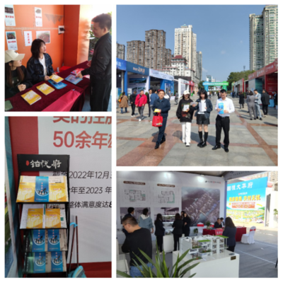 園區公積金助力岳陽惠民房交會，提供專業房地產咨詢服務