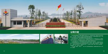 宜賓畫冊設計與農產品包裝的藝術融合 從設計效果圖看品牌升級