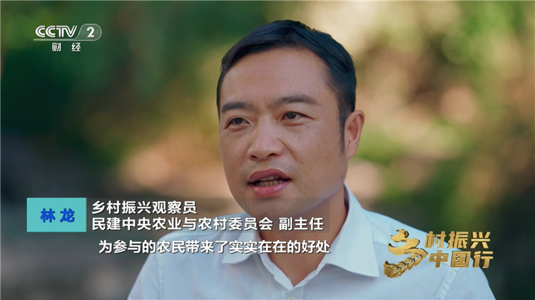 央視鏡頭下，鳴鳴很忙如何把鄉村好物賣爆全國 突破農產品零售瓶頸的城鄉產業協同樣板